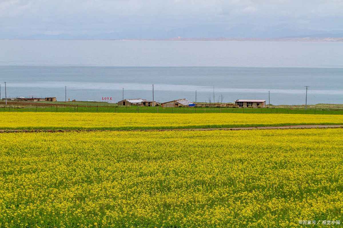 到青海省会有高原反应吗