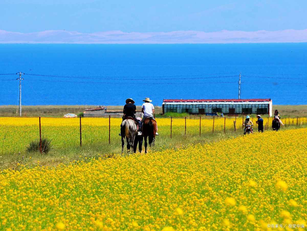 到青海省会有高原反应吗